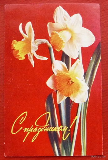 С Праздником! Чистая. 1980 года. Костенко. 913.