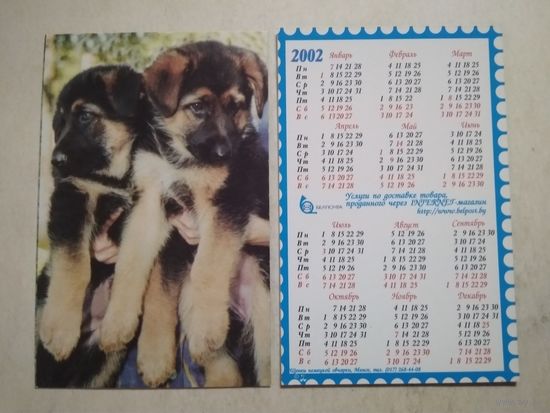 Карманный календарик . Собаки . Белпочта. 2002 год