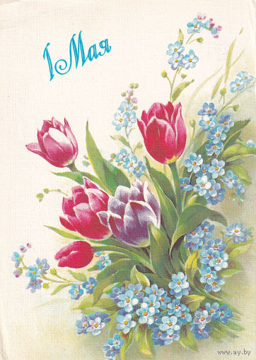 Открытка чистая. " 1 Мая". 90-241. 03.08.1990