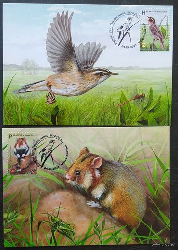 Беларусь 2021 КМ Исчезающие виды национальной дикой природа.
