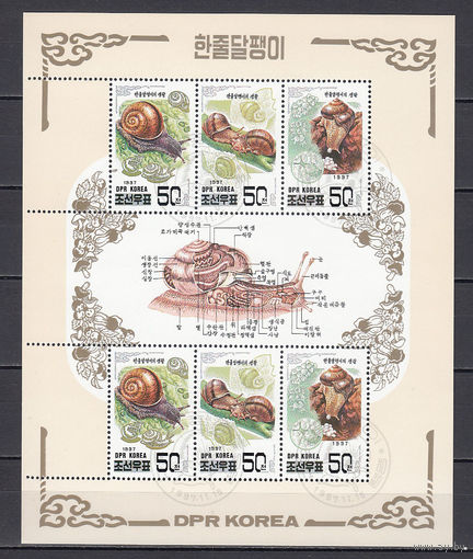 Фауна. Улитки. КНДР. 1997. Малый лист. Michel N 3983-3985 (8,0 е)