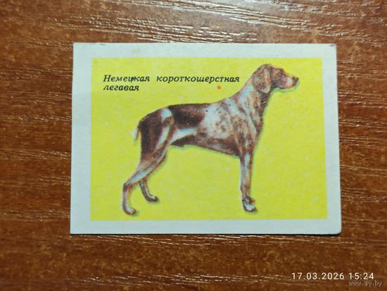 Спичечная этикетка Немецкая короткошёрстная легавая