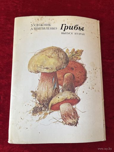 Грибы. Выпуск второй. Художник А. Шипиленко. 1984 год. 8 из 16 открыток