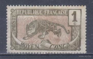 [906] Французские колонии. Среднее Конго 1907. Фауна.Леопард.1 с. БЕЗ КЛЕЯ.