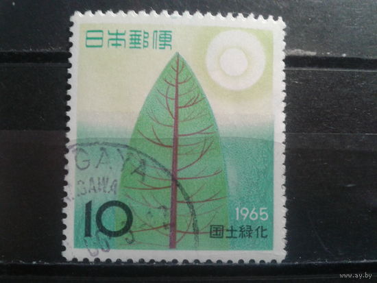 Япония, 1965. Лесовосстановление