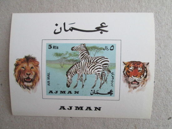 Аджман. Животные.