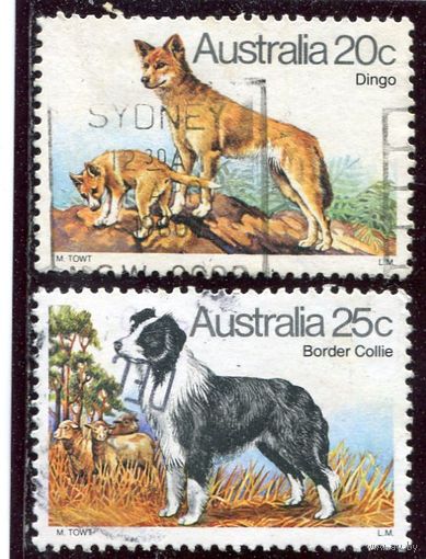 Австралия. Породы собак