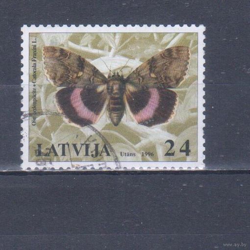 [1117] Латвия 1996. Фауна.Бабочка. Гашеная марка.