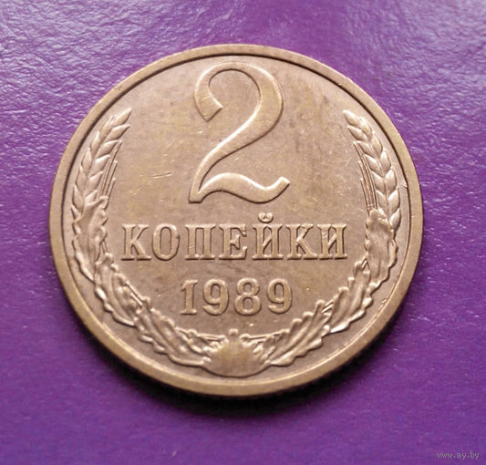 2 копейки 1989 СССР #10