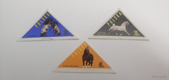 Польша 1963. Лошади