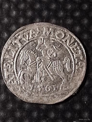 Полугрош 1561 г. Сигизмунд II Август, без мц.