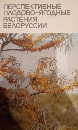 Перспективные плодово-ягодные растения Белоруссии