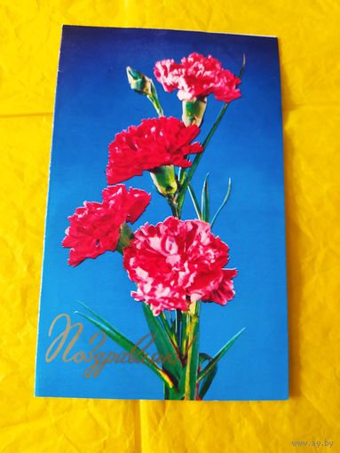 Поздравляю