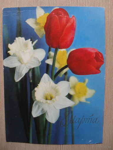 ПОДПИСАННАЯ ОТКРЫТКА СССР. 1973 ГОД. "8 МАРТА". фото. Г. КОСТЕНКО.