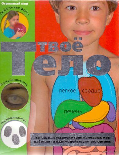 Твое тело