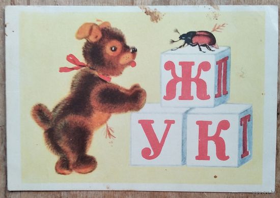 Ушакова н. Кто это? 1955 г. Чистая.