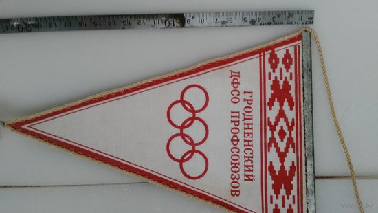 Вымпел Гродненский ДФСО Профсоюзов