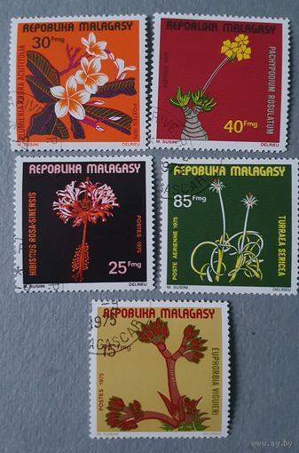 Мадагаскар цветы 5шт