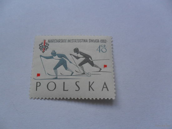 Польша, лыжи