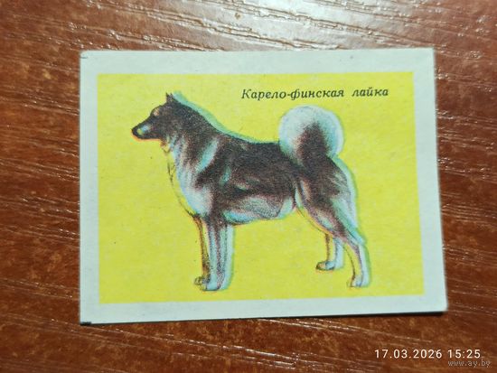 Спичечная этикетка Карело-финская лайка