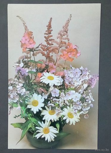 Открытка СССР-1988-фото Е. Савалова.