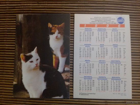 Карманный календарик.Кошки.1996 год