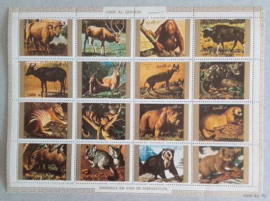 Умм-эль-Кайвайн. Животный мир.