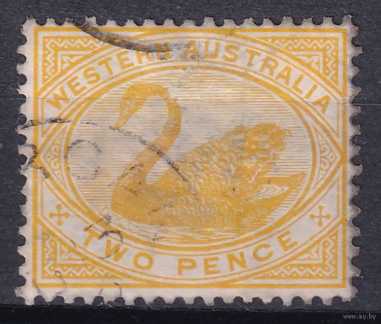 155.Aust. Великобритания. Австралийские штаты. Западная Австралия. Чёрный лебедь. Стандарт. 1899 г. 2p. Mi.#45.