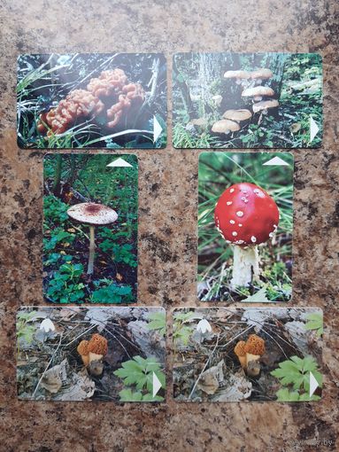 Лот телефонных карт РБ "Грибы" (6 шт.)