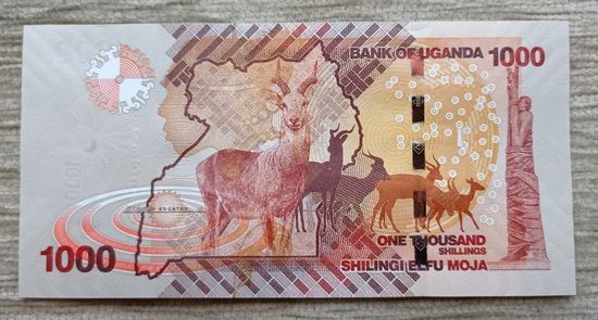 Werty71 Уганда 1000 шиллингов 2021 UNC банкнота