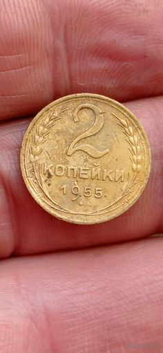 МОНЕТА 2 КОПЕЙКИ 1955 ГОД. ОРИГИНАЛ  .  Распродажа Коллекции !!! . Экспресс  Аукцион  с рубля без МПЦ и прочего  .Много лотов в продаже .