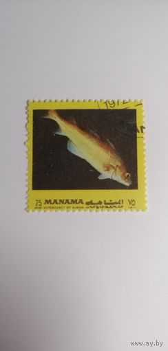 Манама 1972. Рыба Средиземноморья