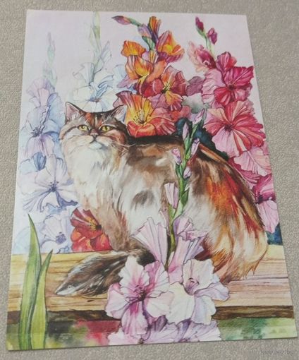 Посткроссинг. Открытка "В гладиолусах", худ.Елена Андрющенко (10х15). Прошла почту. Художественные марки, чёткий штемпель.