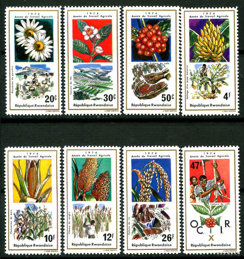 Руанда - 1975г. - Год сельского хозяйства - полная серия, MNH [Mi 691-698] - 8 марок