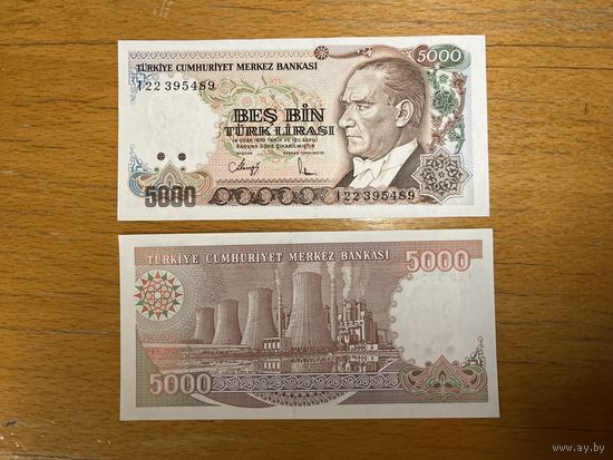Турция 5000 лир 1985 год. P-197a.1