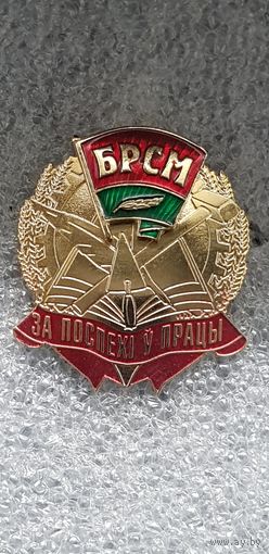 За успехи в труде БРСМ Беларусь