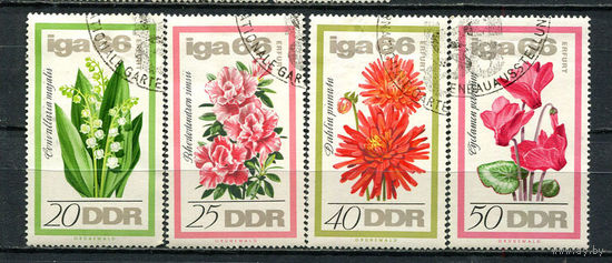 ГДР - 1966 - Цветы - (ном. 20 и 40 с тонкими местами) - [Mi. 1189-1192] - полная серия - 4 марки. Гашеные.  (LOT Gh14)-T3P12