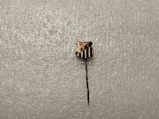 Футбольный клуб Сантос Бразилия