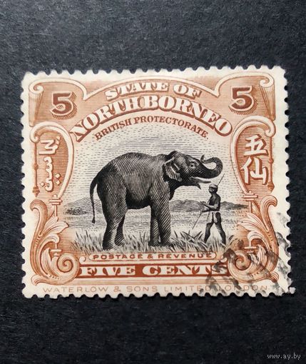 Великобритания. Северное Борнео\397с\ 1909 фауна Азиатский слон. Зуб.14