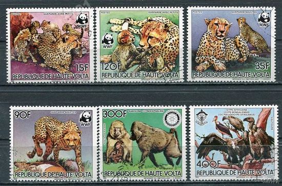 Верхняя Вольта 1984. WWF. Фауна. Кошачьи NoNo 957-62. Гаш