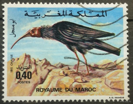 Марокко 1975г.