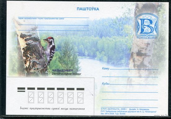 Беларусь 2008. ПК. Фауна. Малый пестрый дятел