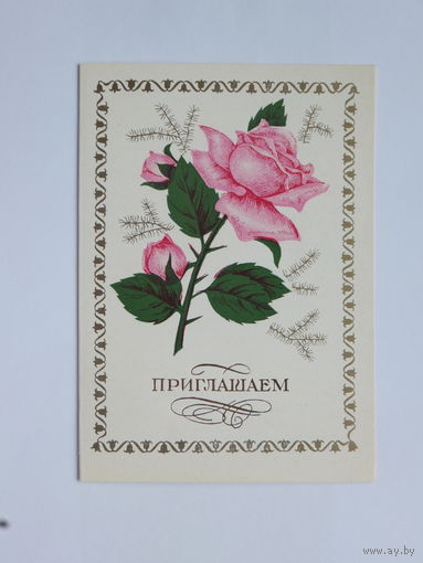 Козин приглашаем 1983   10х15 см