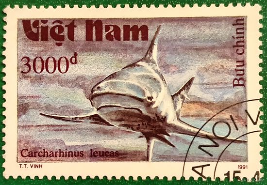 Вьетнам 1991. Акулы. Carchahinus Leucas. Марка из серии