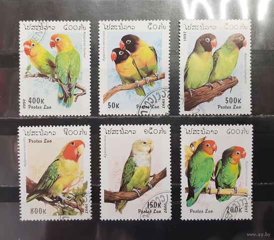 Лаос. 1997 год. Фауна. Птицы. Попугаи (1248)