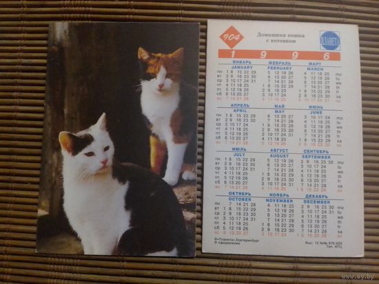 Карманный календарик.Кошки.1996 год