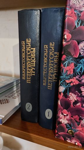 Крестовский, Петербургские трущобы, 2 тома