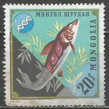 Монголия. Рыбы. Осетр. 1974г. Mi#902.