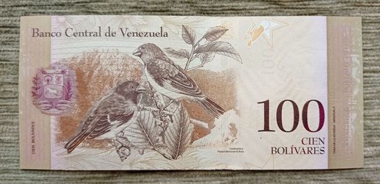 Werty71 Венесуэла 100 боливаров 2013 UNC банкнота