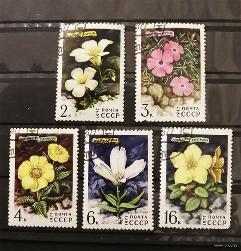 СССР 1977 г. Цветы Сибири. Флора, полная серия из 5 марок #0094-Ф2P17